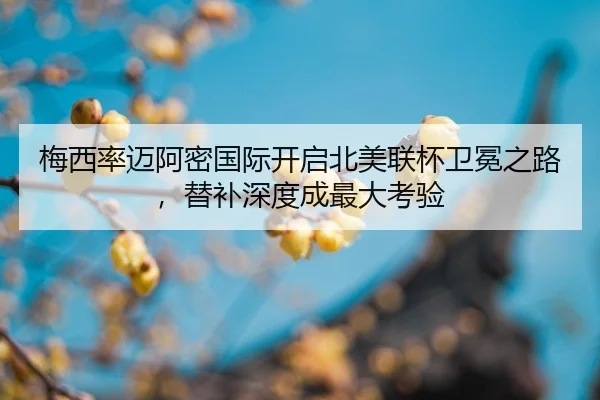 mei-xi-lv-mai-a-mi-guo-ji-kai-qi-bei-mei-lian-bei-wei-mian-zhi-lu-ti-bu-shen-du-cheng-zui-da-kao-yan-2-286.jpg