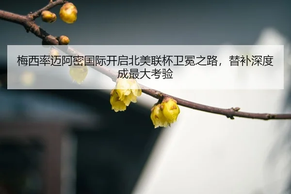 mei-xi-lv-mai-a-mi-guo-ji-kai-qi-bei-mei-lian-bei-wei-mian-zhi-lu-ti-bu-shen-du-cheng-zui-da-kao-yan-3-233.jpg