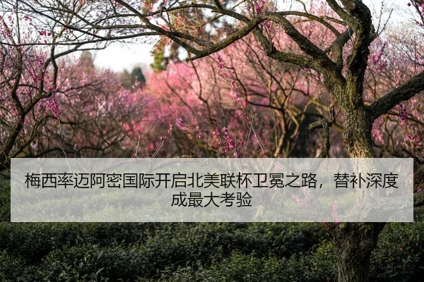 梅西率迈阿密国际开启北美联杯卫冕之路，替补深度成最大考验